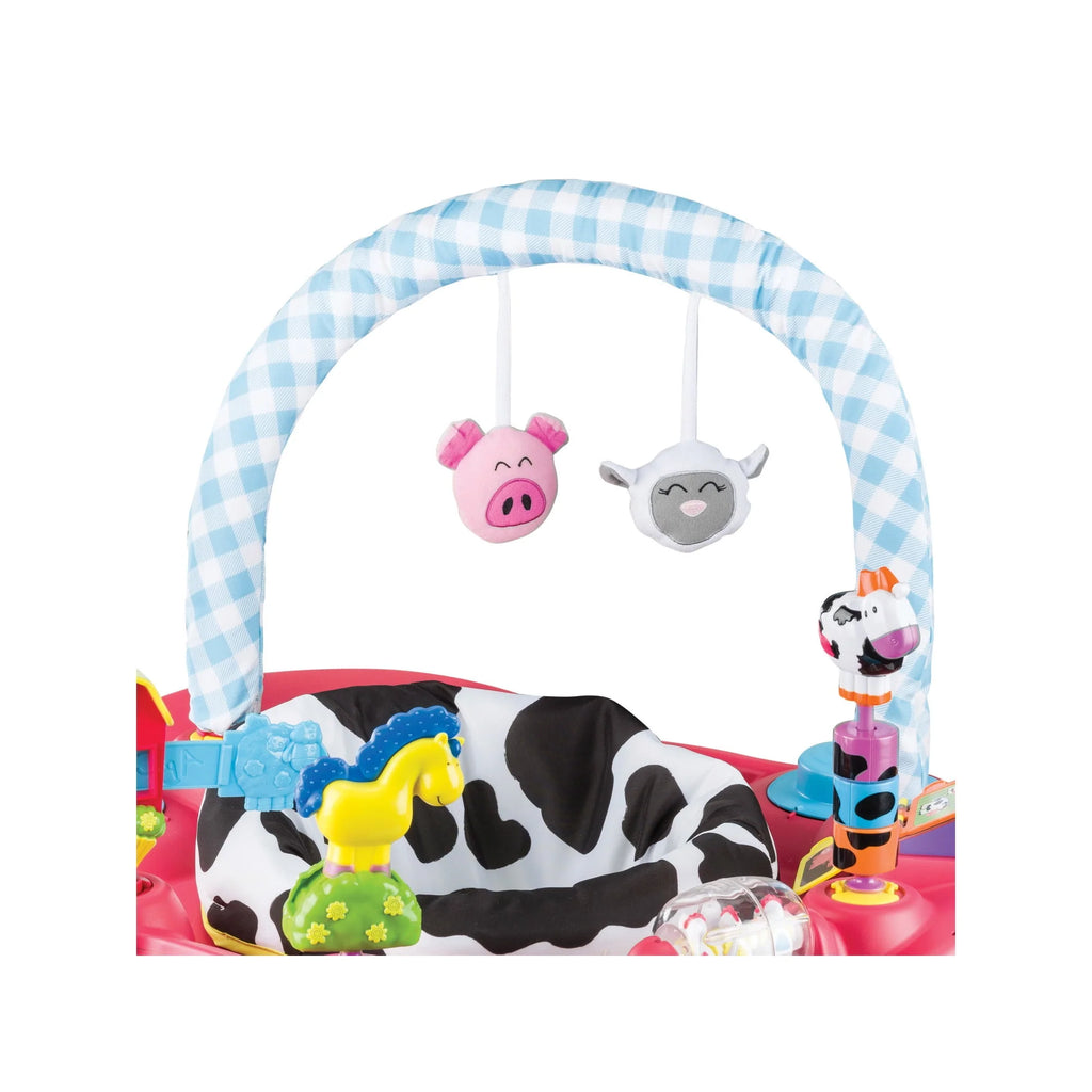 Unisex Bouncing Activity Saucer I760228