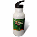 21 oz Sports Water Bottle N485