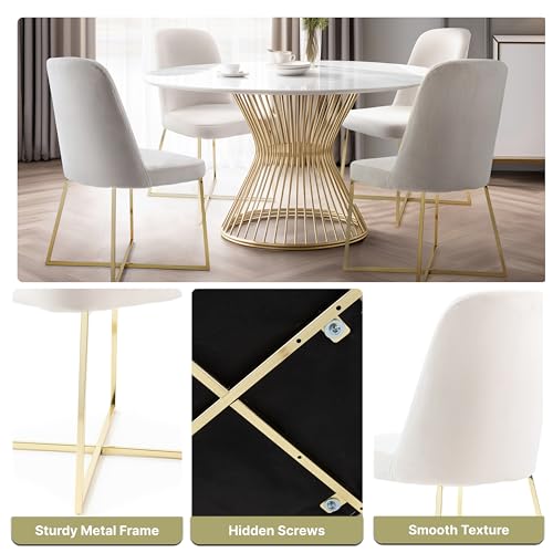 Ivory Velvet Accent Chairs Set of 2 with Gold Metal Legs Y77372