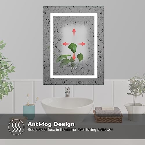 20 X 26 LED Medicine Cabinet with Mirror T248644