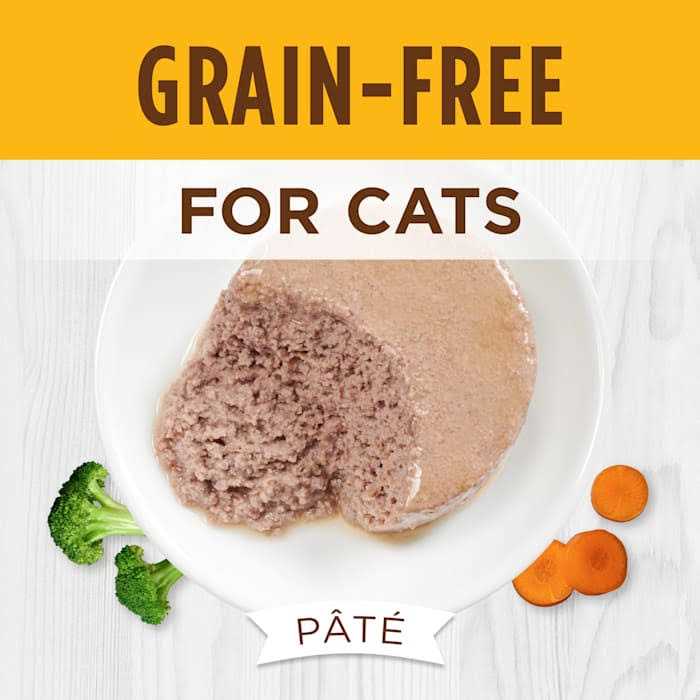 Cat Food S28321
