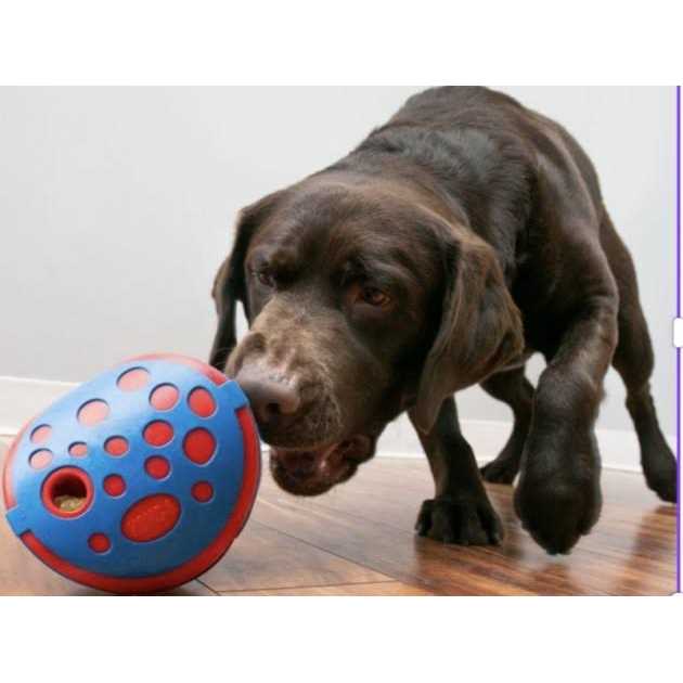 Dog Toy S3316
