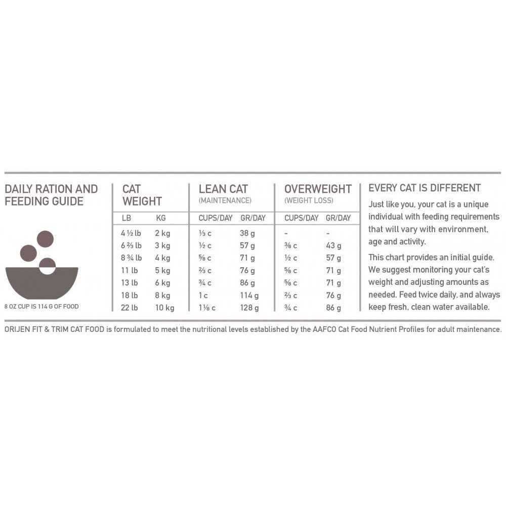 Cat Dry Food V528