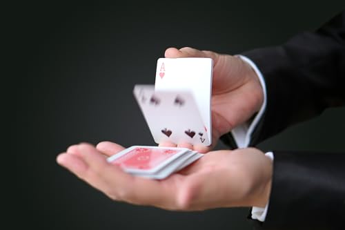 Magic Tricks Set with Magic Cards and Coins M576