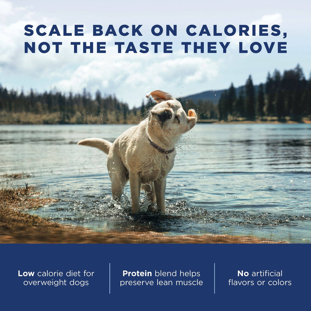28 lb Chicken Meal Salmon Meal Barley Formula Dog Food G114811