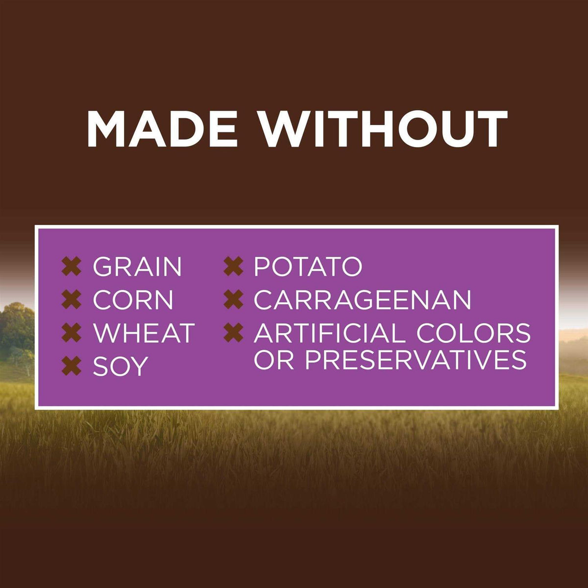 Grain Free Real Chicken Recipe Wet Cat Food Z961480