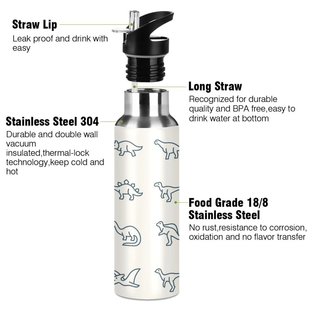 Stainless Steel Water Bottle with Straw Lid Vacuum Insulated Leak Proof Flask 20 OZ V305
