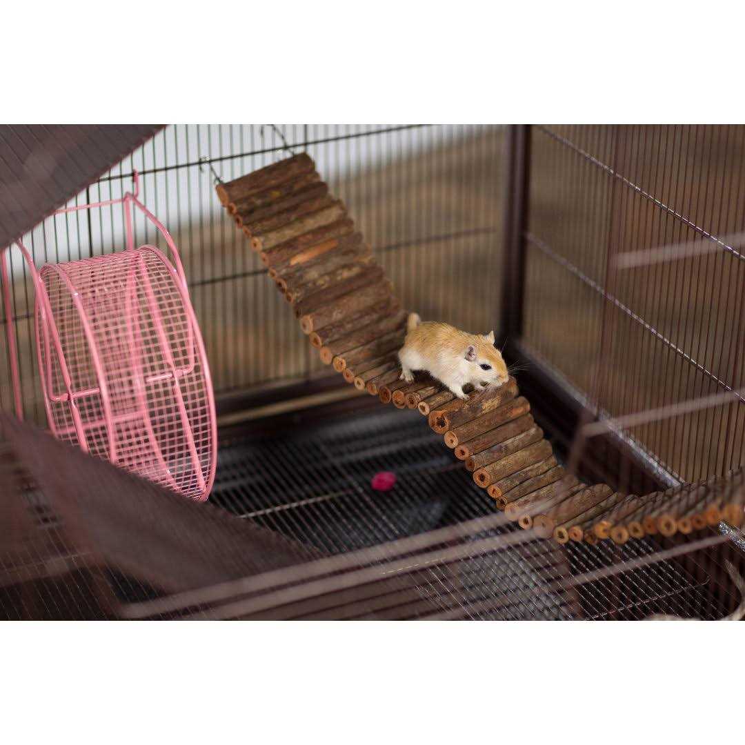 Rat & Chinchilla Cage Q2435