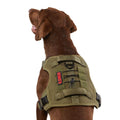 Double Handle Dog Harness F9333