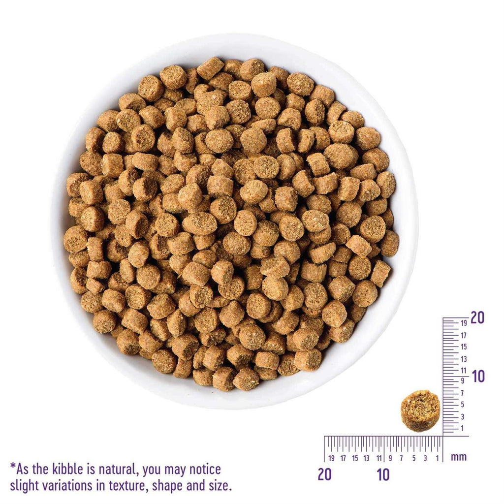 Grain-Free Turkey & Duck Dry Cat Food J190