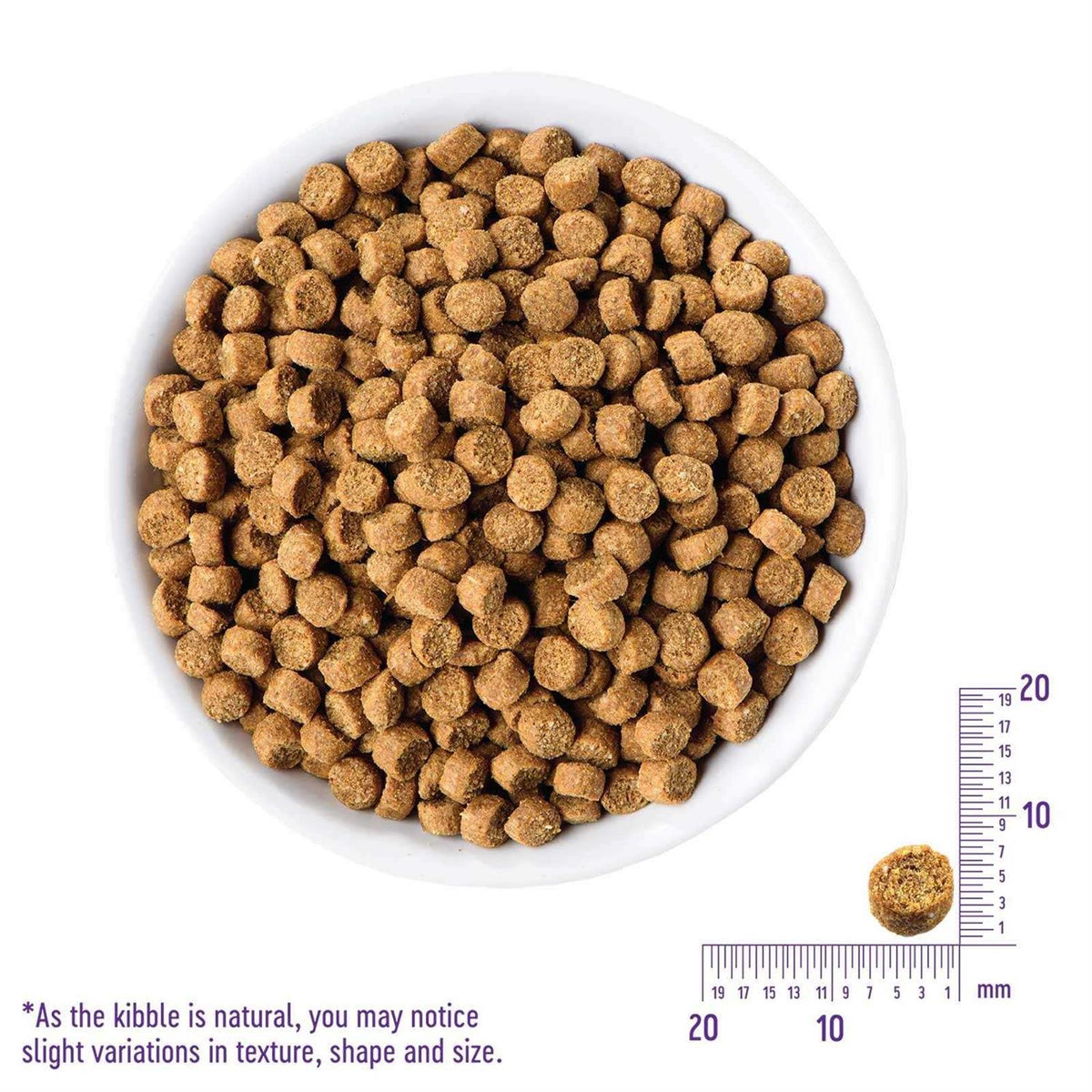 Grain-Free Turkey & Duck Dry Cat Food J190