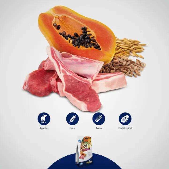 Lamb Spelt Oats and Tropical Fruits Adult Medium Maxi 4.4 lbs R141