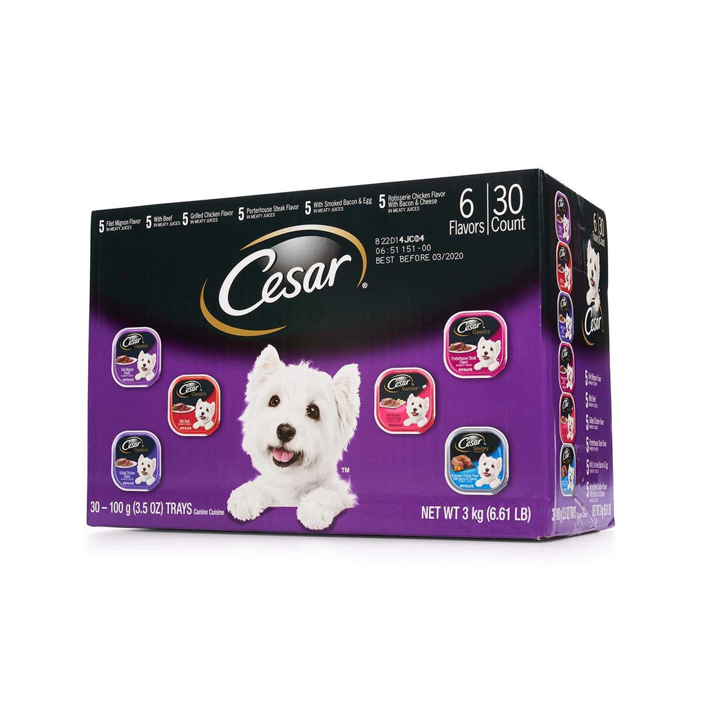 Wet Dog Food D82031