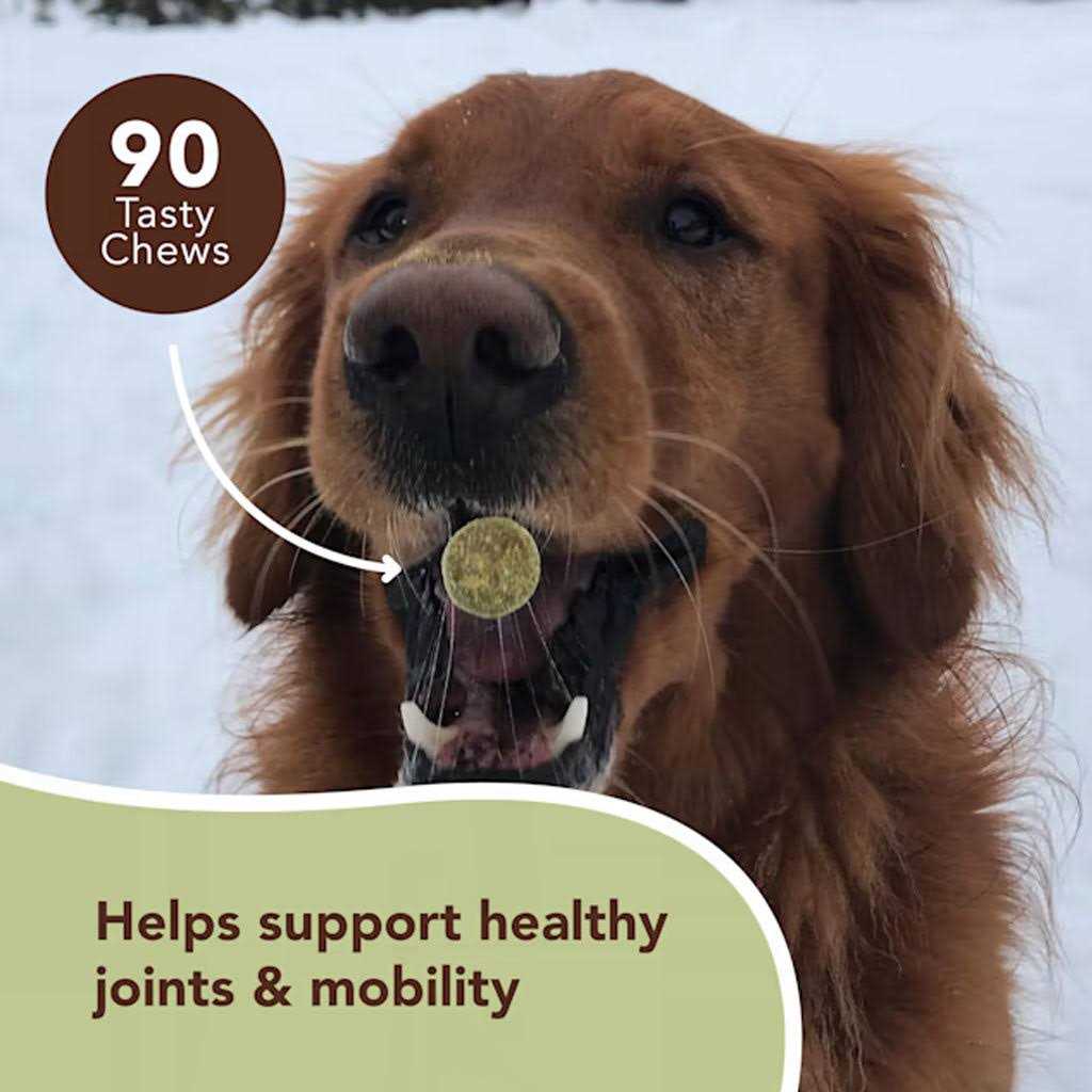 Hip & Joint Pet Supplies J92096