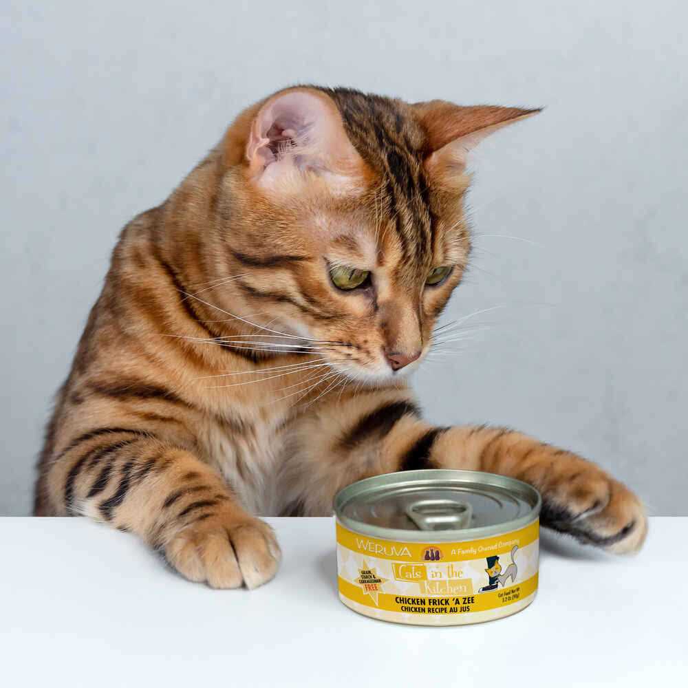 Chicken Cat Food L3571