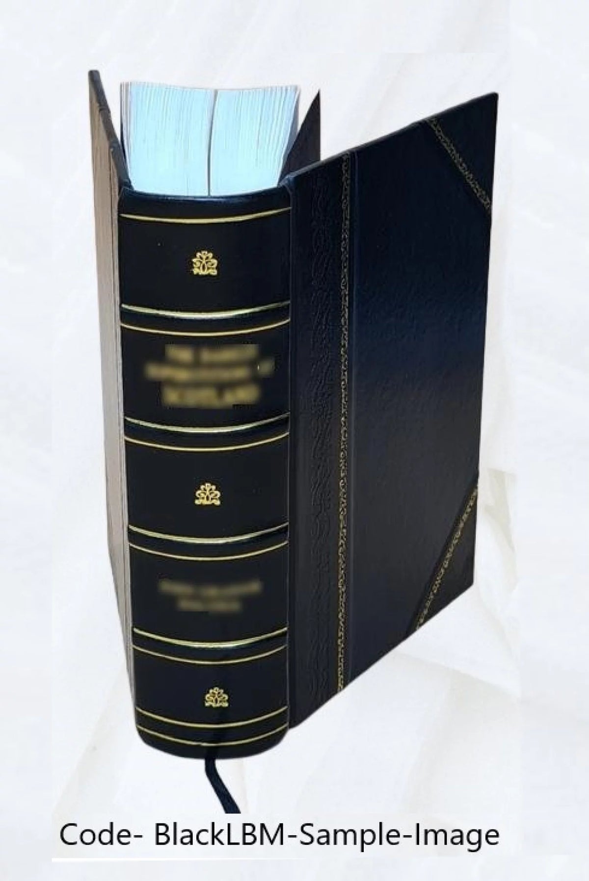 Leather Bound O97325