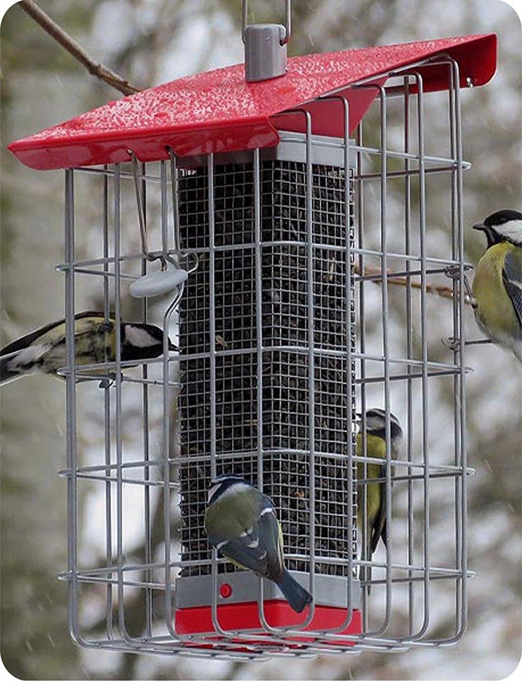 Peanut Sunflower Seed Feeder O1974