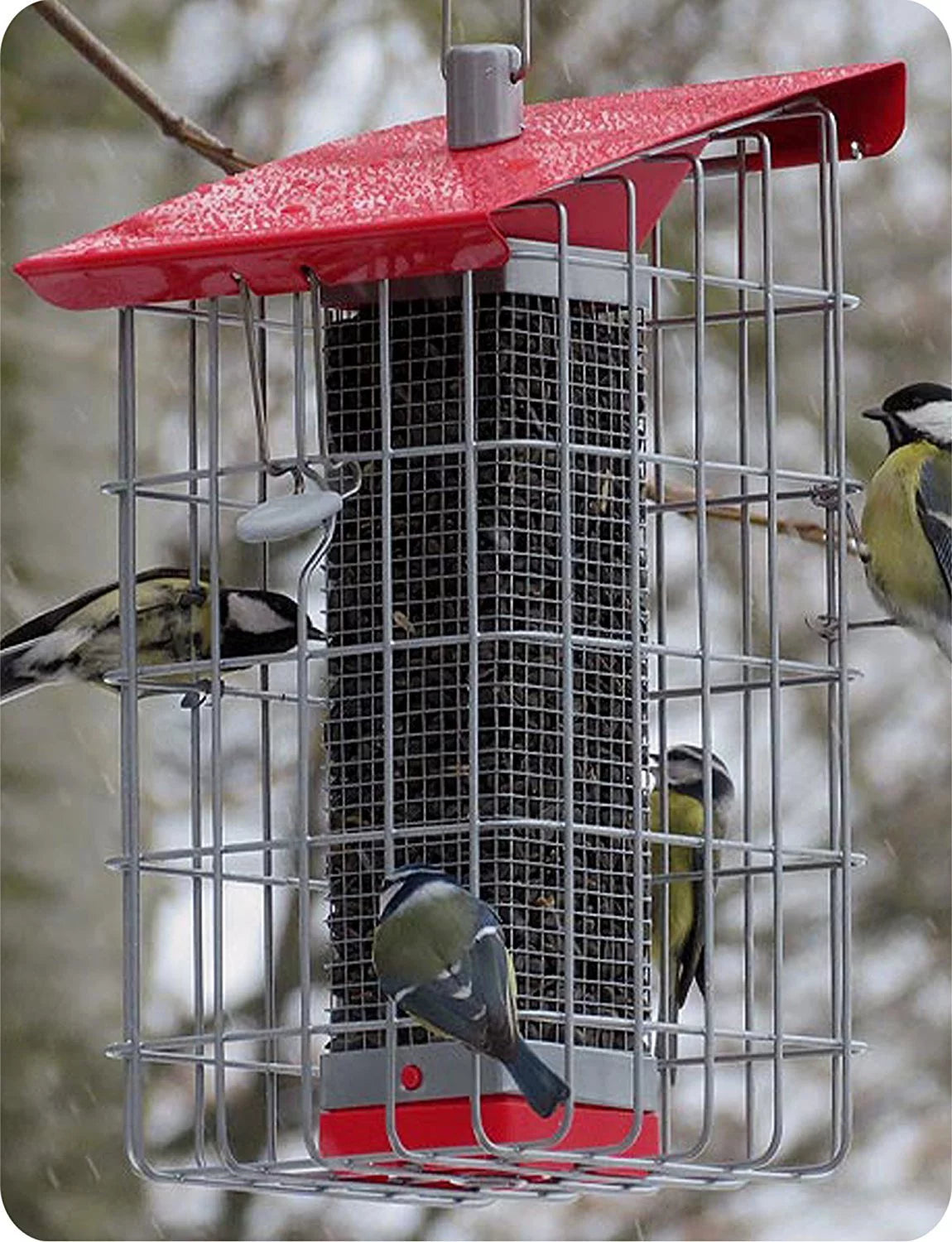 Peanut Sunflower Seed Feeder O1974
