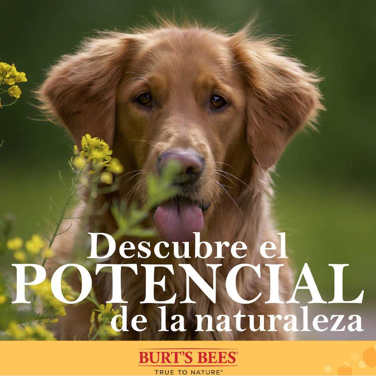 Manuka Honey Nose & Paw Lotion R854