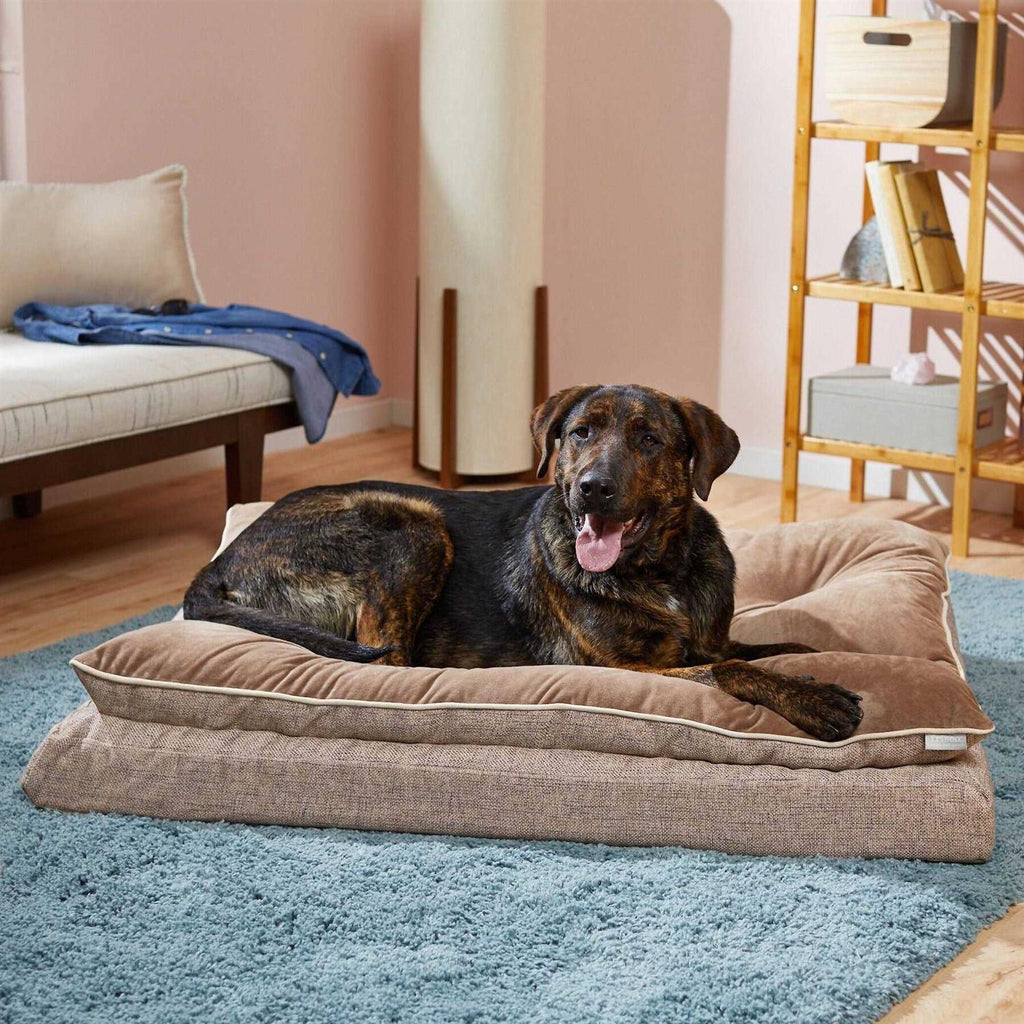 Plush Orthopedic Pillowtop Dog Bed with Removable Cover C86276