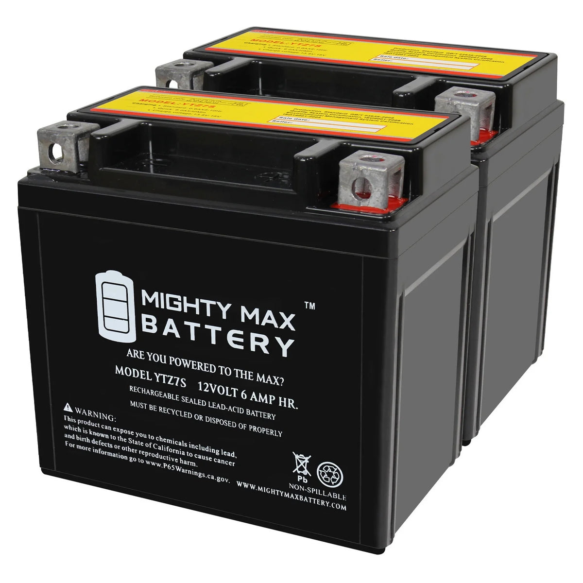2 Pack 12V 6AH Replacement Battery Y132