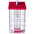 Peanut Sunflower Seed Feeder O1974