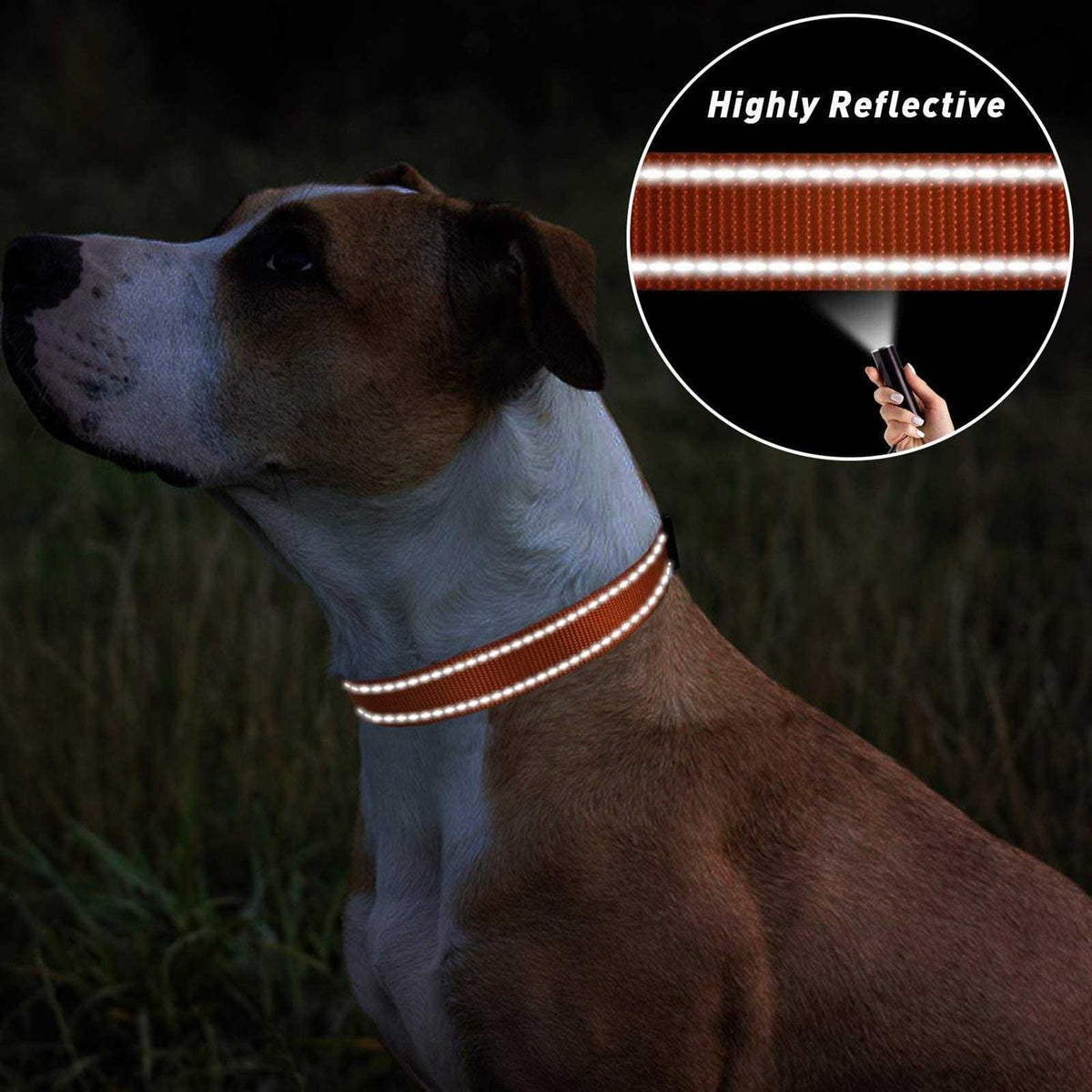 Reflective Nylon Adjustable Dog Collar with Quick Release Buckle I3613