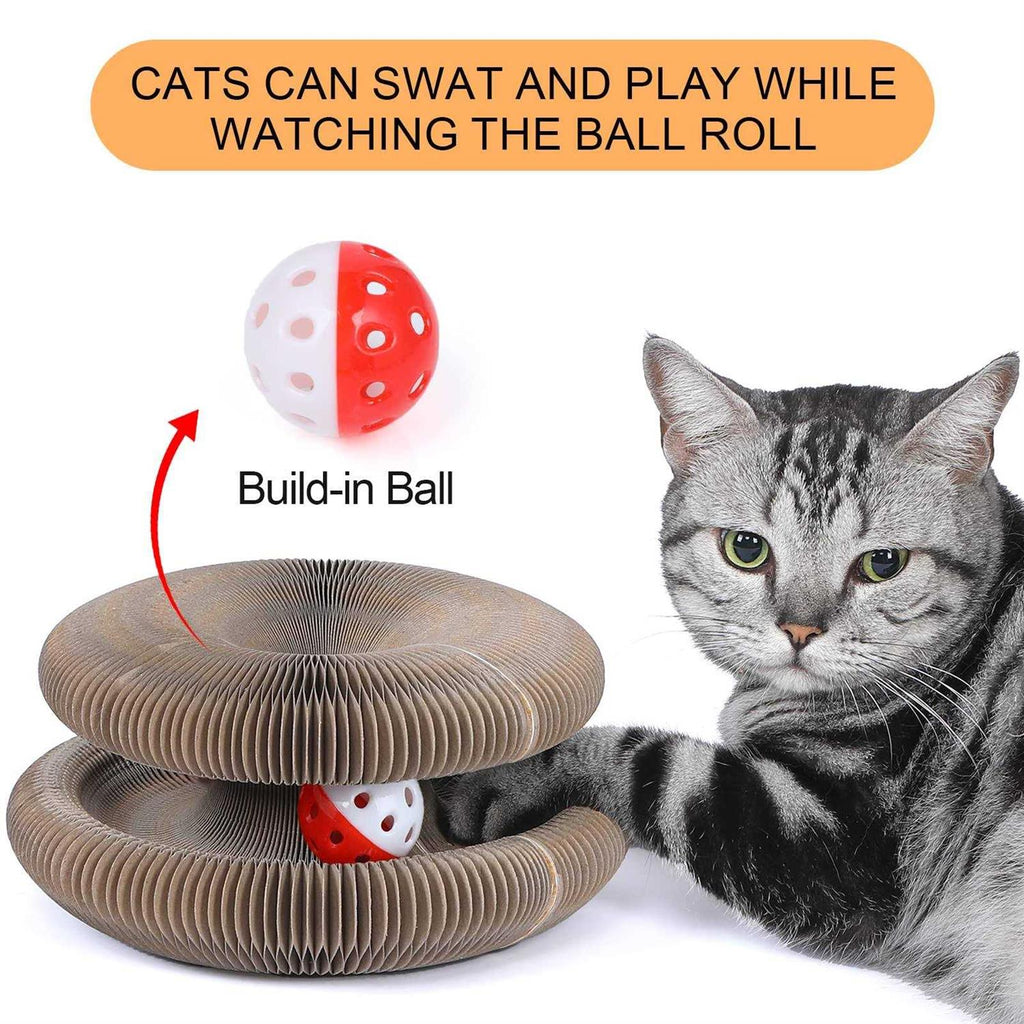 Magic Cats Scratching Board with Ball Y370112