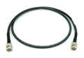 Black 100ft BNC Cable C18546