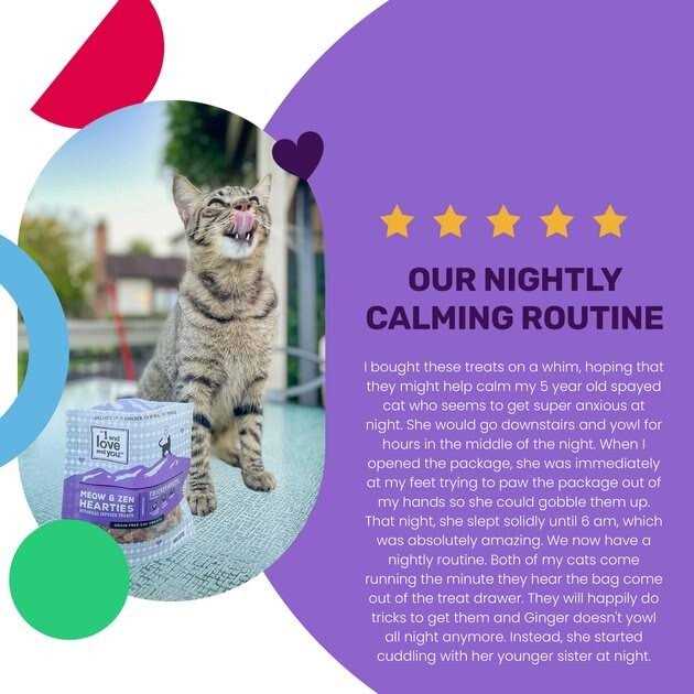 Cat Treats W55548