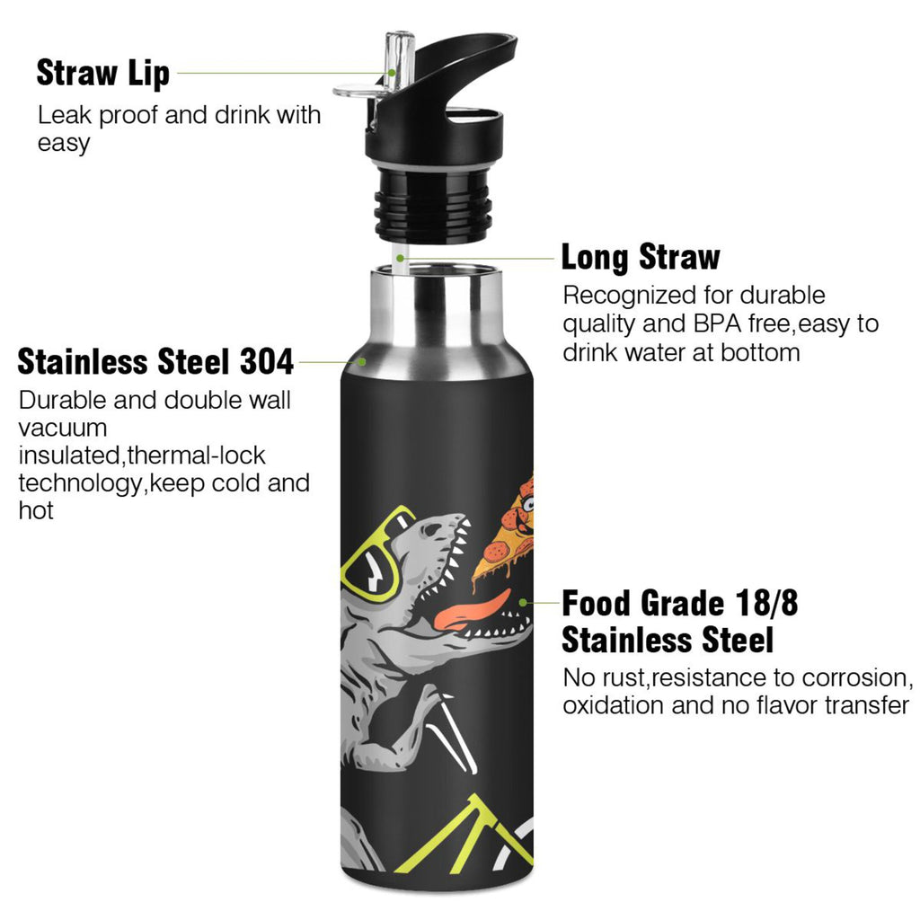 Stainless Steel Insulated Water Bottle with Straw Lid K948