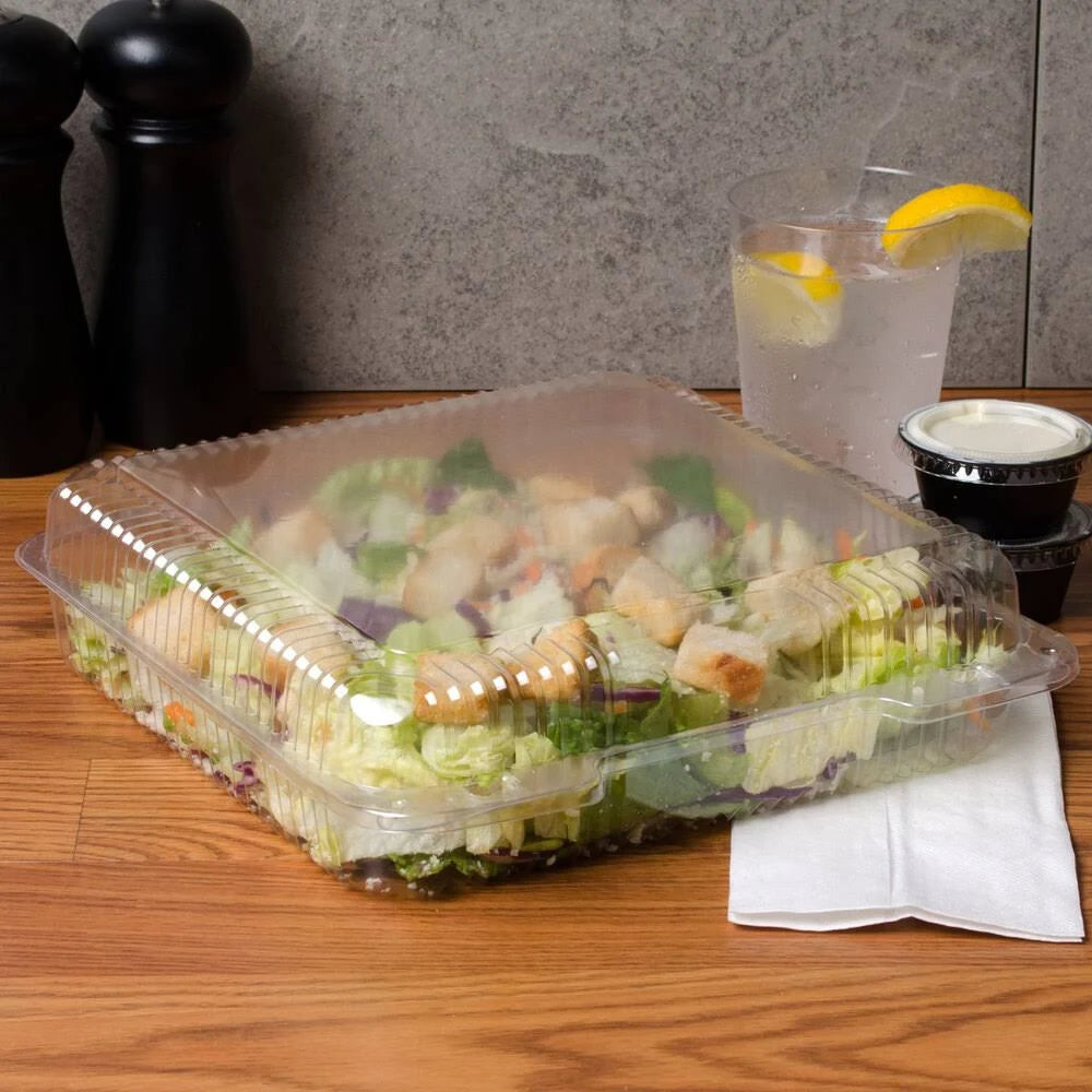 Clear Hinged Plastic Square Container - 250/Case O9727