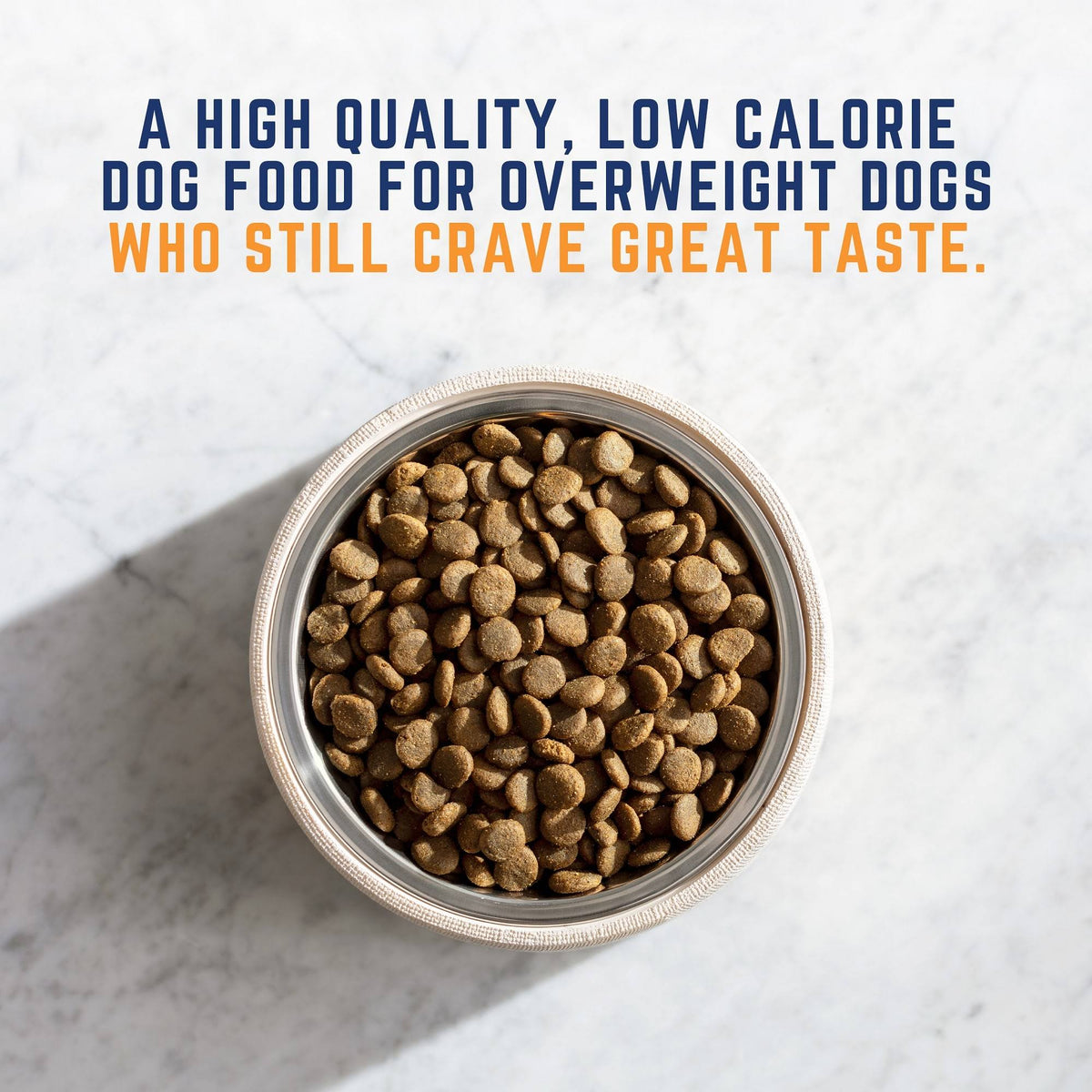 28 lb Chicken Meal Salmon Meal Barley Formula Dog Food G114811