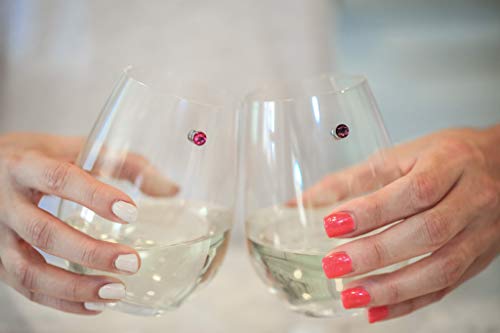 Crystal Magnetic Wine Glass Charms Set of 12 L124610
