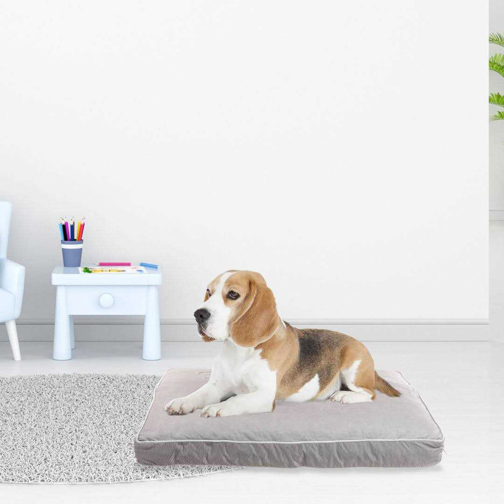 Orthopedic Pet Bed C905