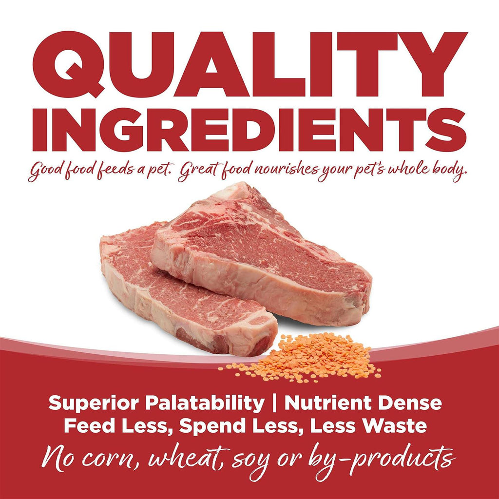 Beef & Red Lentils Grain Free Dry Dog Food Y2924