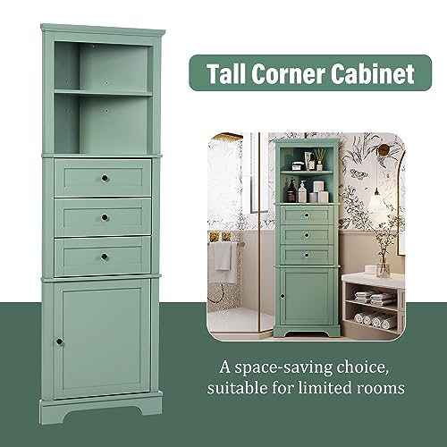 Green Tall Corner Cabinet with Drawers and Shelves D2418