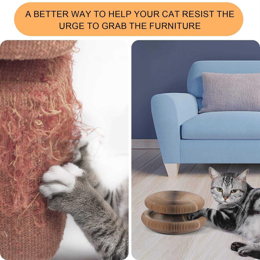 Magic Cats Scratching Board with Ball Y370112