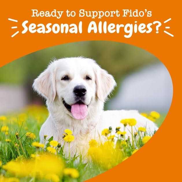 Salmon Allergy & Immune Bites for Dogs C547