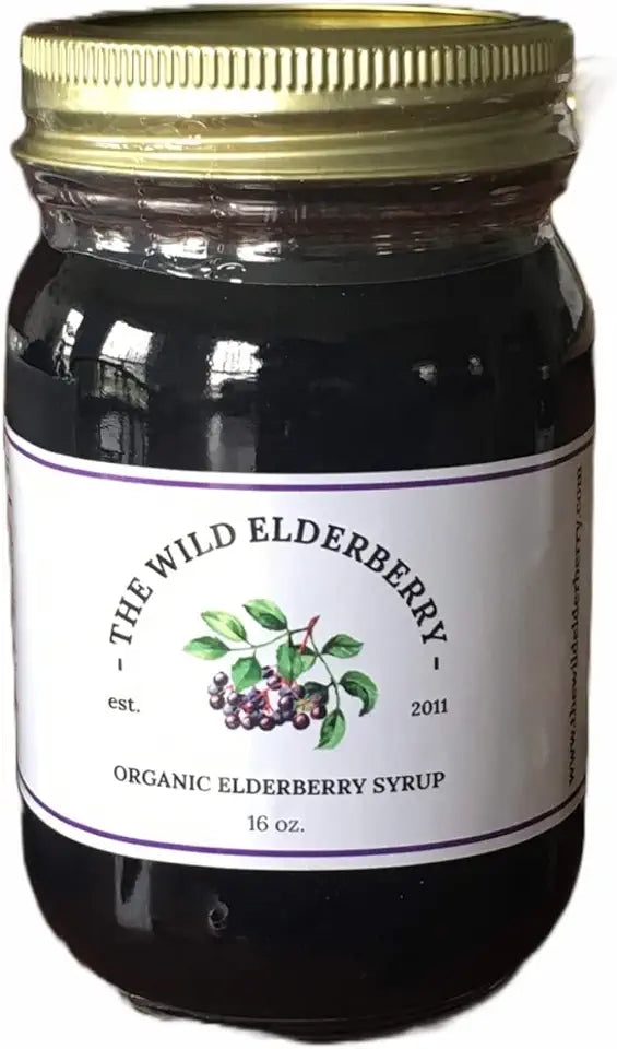 Elderberry Syrup L675931