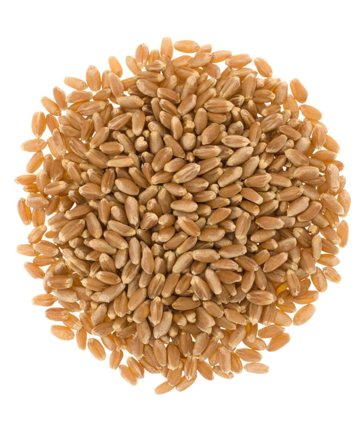 1 LB Hard Red Winter Wheat Berries Q371327