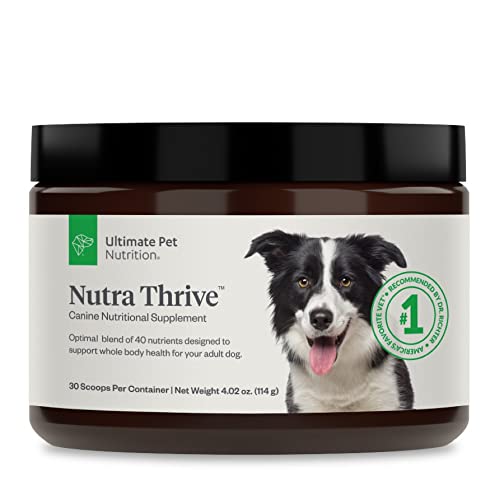 Canine 40 in 1 Nutritional Supplement for Dogs S4225