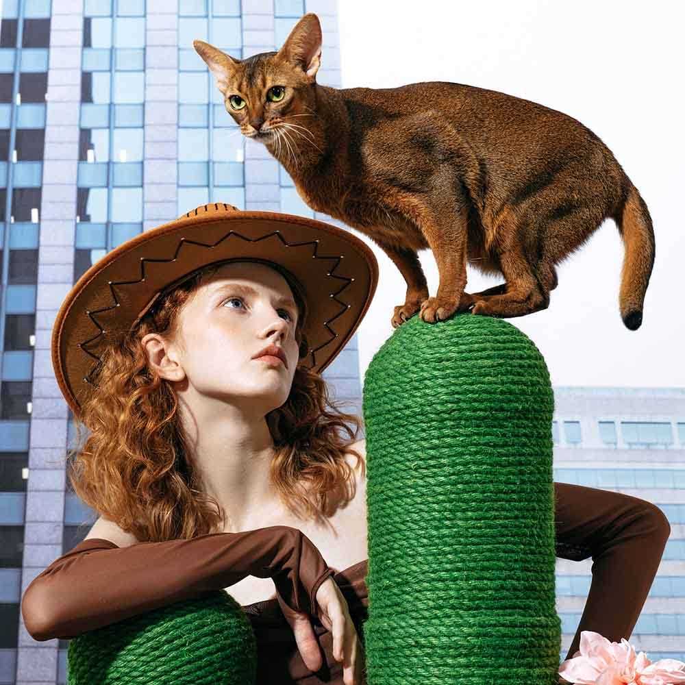 Cactus Cat Tree Scratching Post Y110