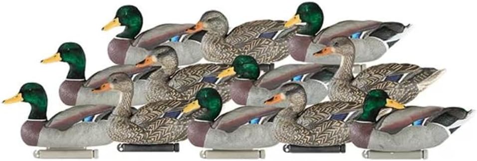 12 Pack Flocked Head Mallard Decoys A279681