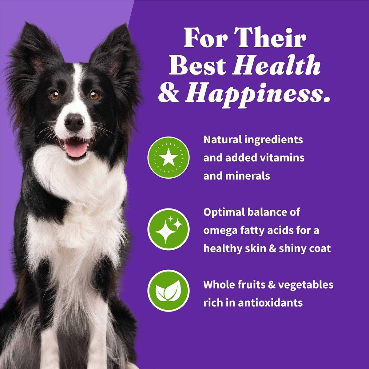 Vegan Plant-Based Dry Dog Food E78409
