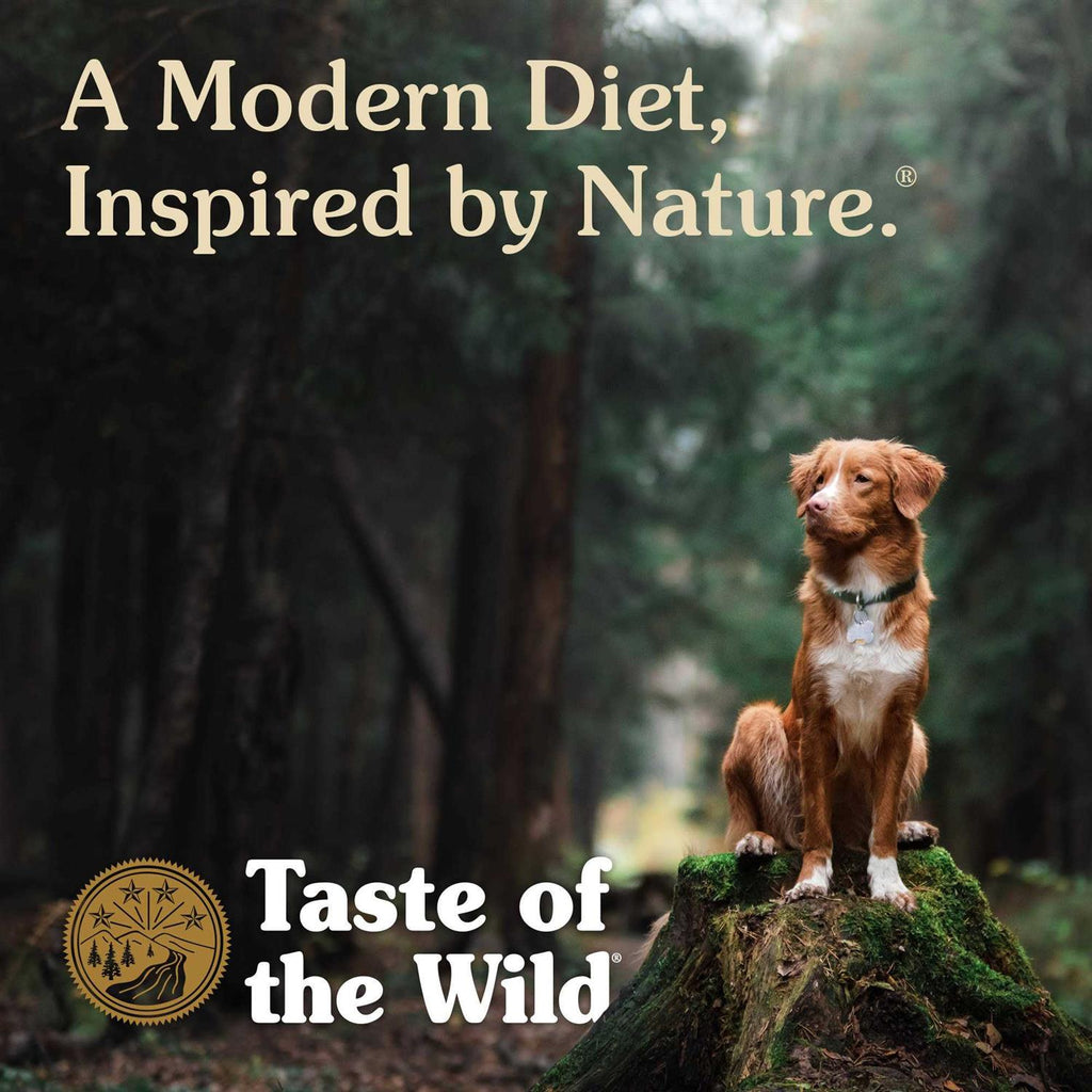 Smoked Salmon Dog Food C78702