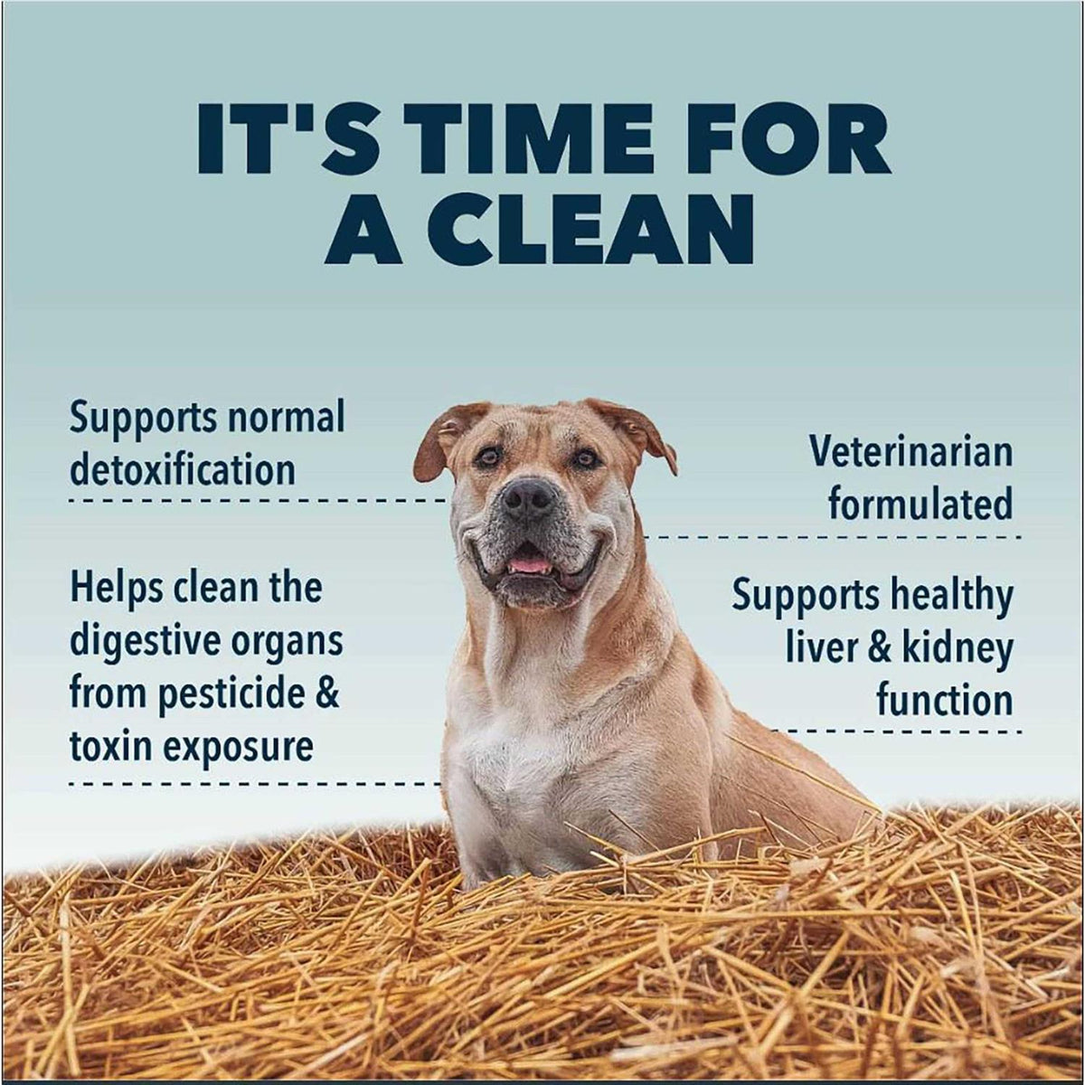 Liver/Kidney Clean Pet Supplies T5566