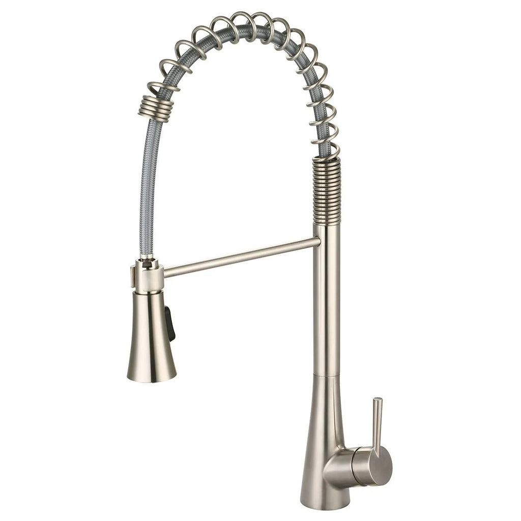 Brushed Nickel Single Handle Kitchen Faucet J257