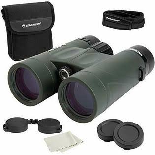 8x Magnification Waterproof Binoculars R706066