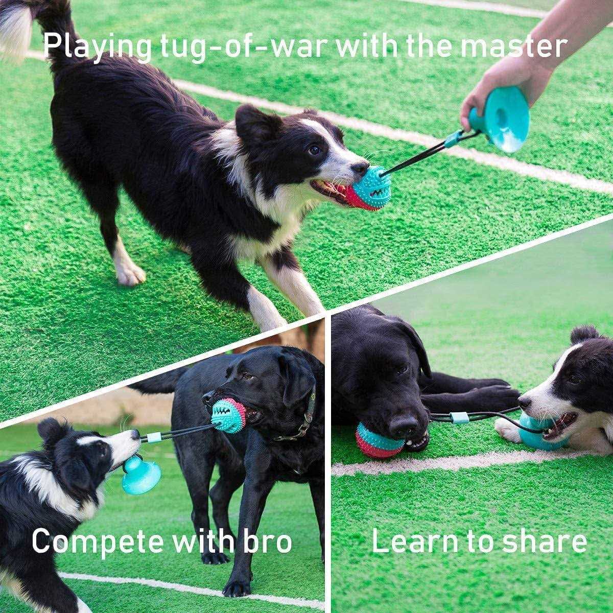 Interactive Dog Tug of War Toys I207